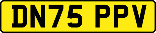 DN75PPV