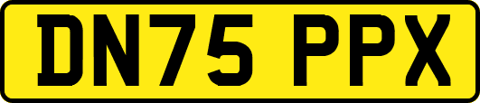 DN75PPX