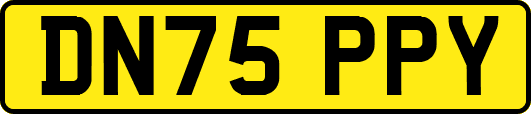DN75PPY