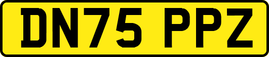 DN75PPZ