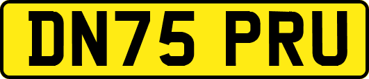 DN75PRU