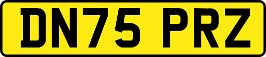 DN75PRZ