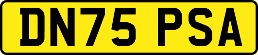 DN75PSA