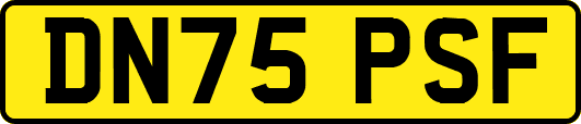 DN75PSF