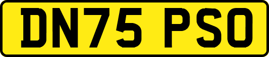 DN75PSO