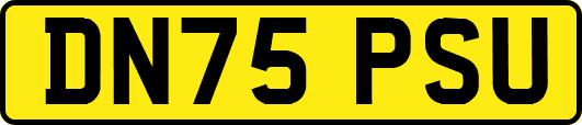 DN75PSU