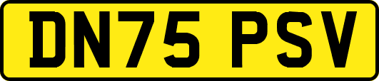 DN75PSV