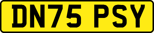 DN75PSY