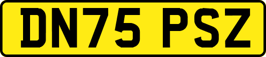 DN75PSZ