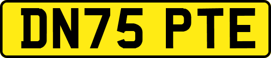 DN75PTE