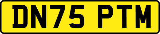 DN75PTM