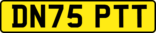 DN75PTT