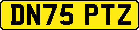 DN75PTZ