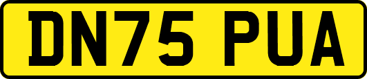DN75PUA