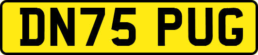 DN75PUG