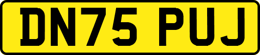 DN75PUJ