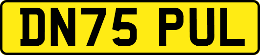 DN75PUL
