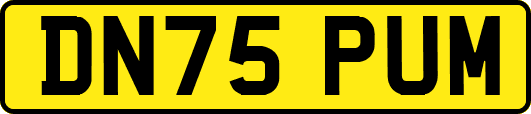 DN75PUM