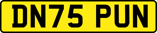 DN75PUN