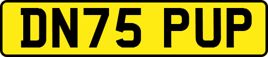 DN75PUP