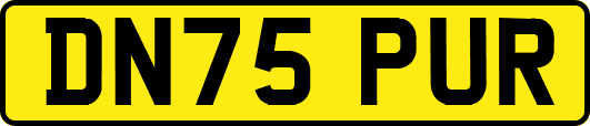 DN75PUR