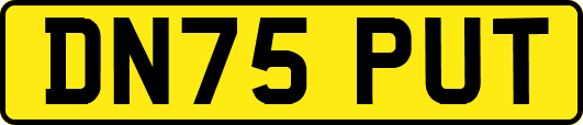 DN75PUT