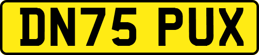 DN75PUX