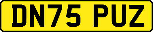 DN75PUZ