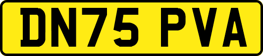 DN75PVA