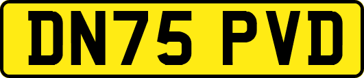 DN75PVD