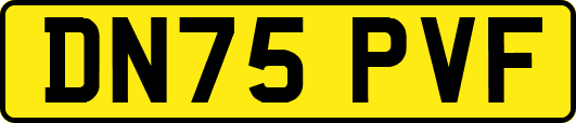 DN75PVF