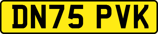 DN75PVK