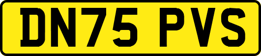 DN75PVS