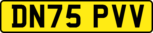 DN75PVV