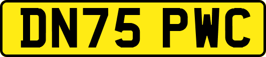 DN75PWC