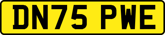 DN75PWE