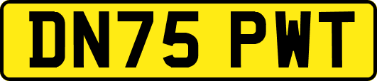 DN75PWT
