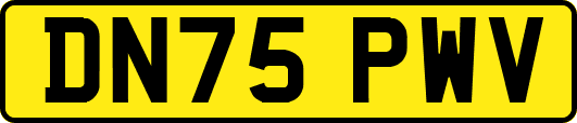 DN75PWV