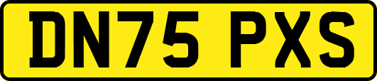 DN75PXS