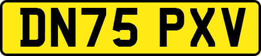 DN75PXV
