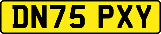 DN75PXY