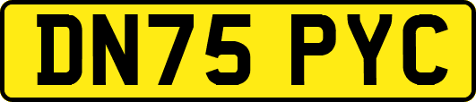 DN75PYC