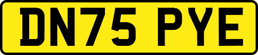 DN75PYE