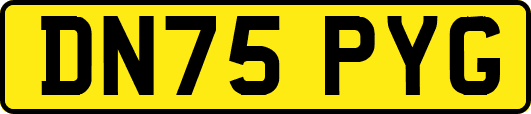 DN75PYG