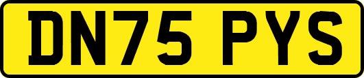 DN75PYS
