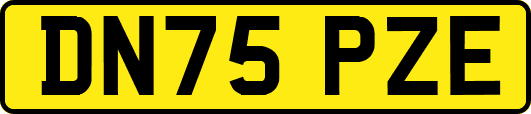 DN75PZE