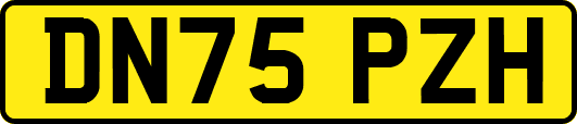 DN75PZH