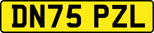 DN75PZL