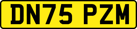 DN75PZM