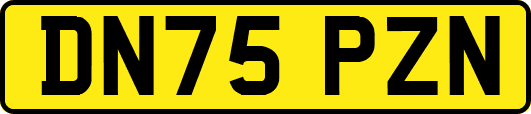 DN75PZN